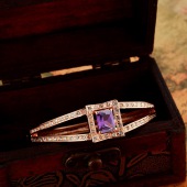 11579_P_1354158492001